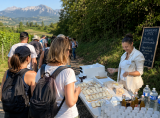 gourmand-yze-164