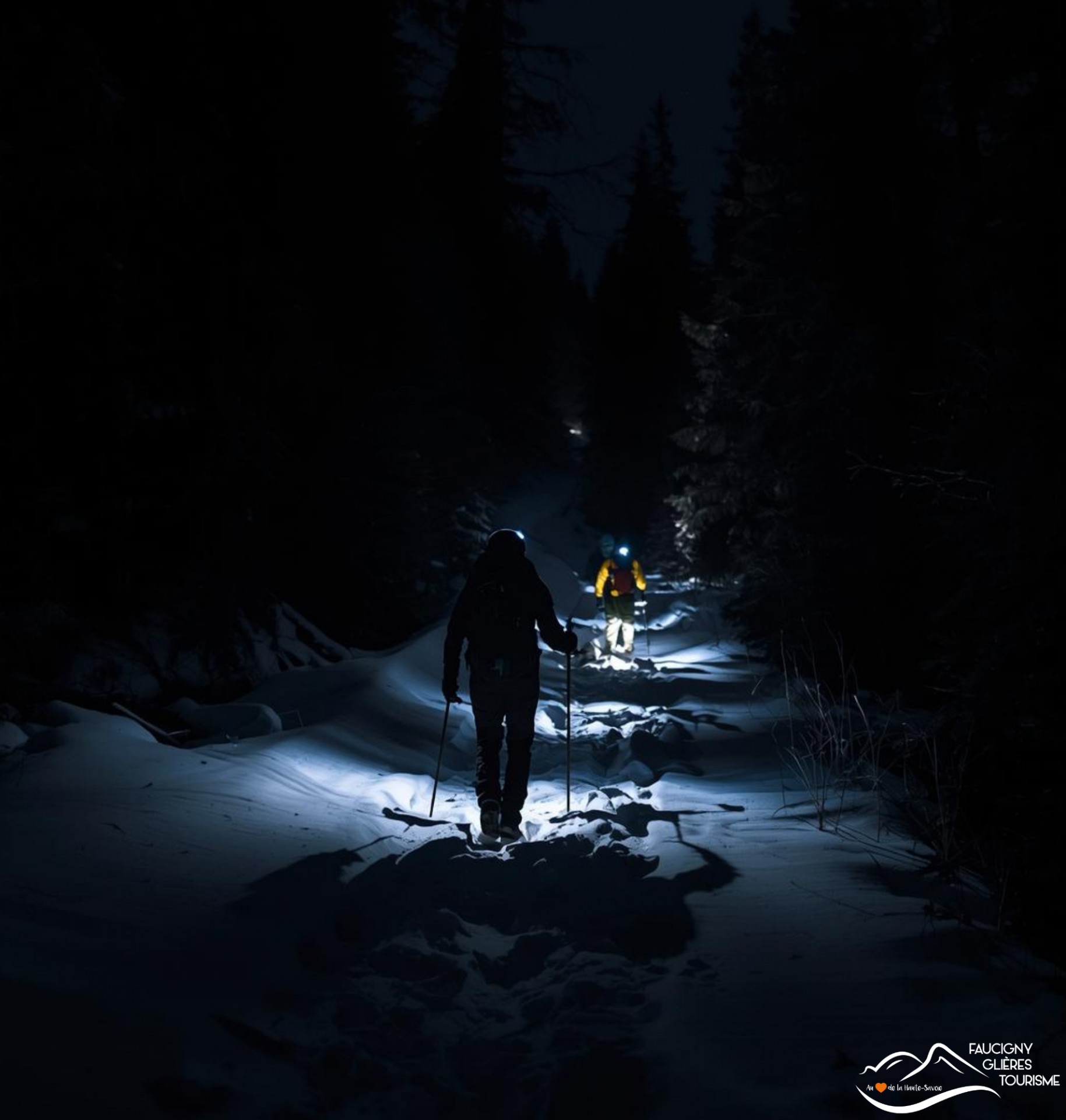 randonn-e-nocturne-et-fondue-aux-gli-res-image-139