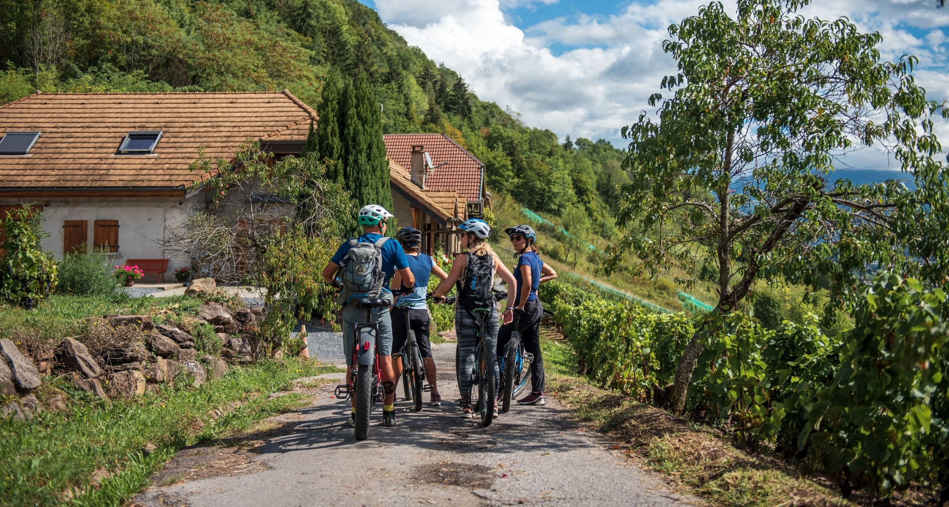 sortie accompagnee velo vignes