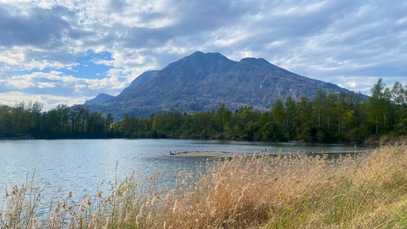 l-aff-t-des-castors-de-l-arve-partez-pour-une-immersion-nature-au-c-ur-144