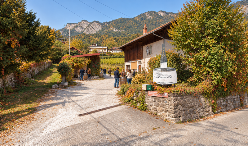 montessuit-automne-182
